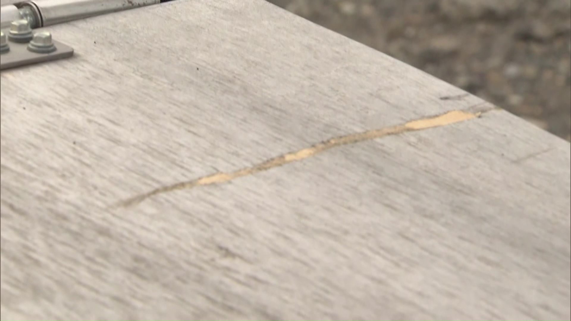 クマとみられる爪の跡