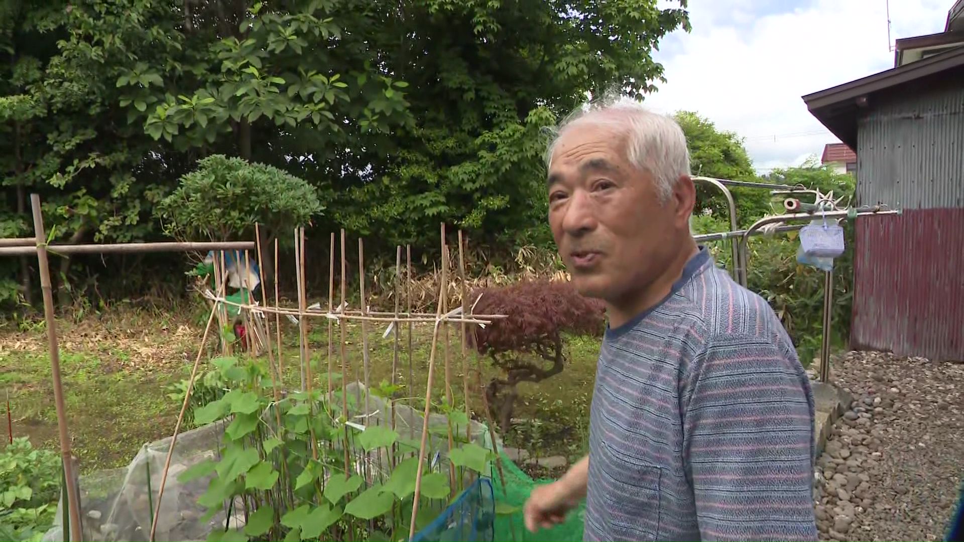 「1頭駆除されたから安心はするけど…」（駆除現場近く住民）
