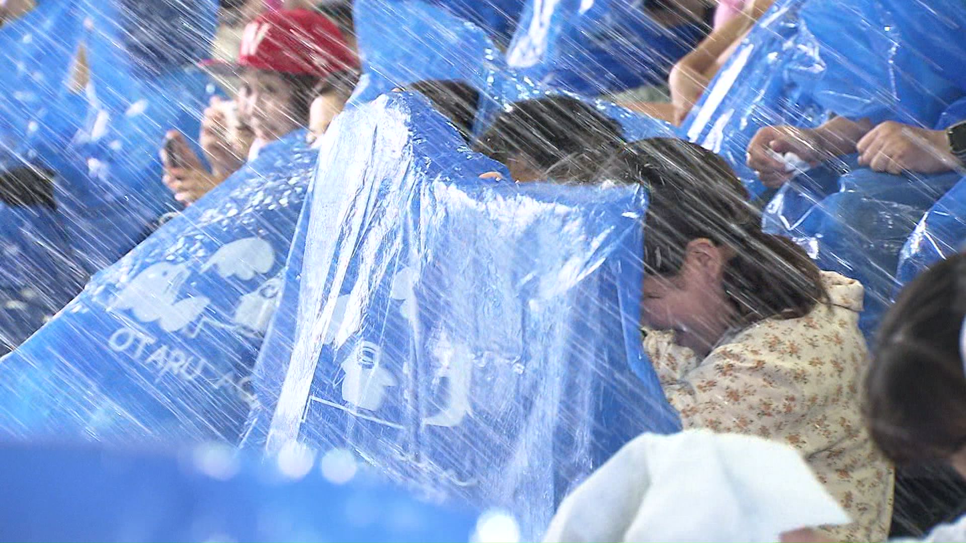 イルカの水しぶきが「バシャ!」