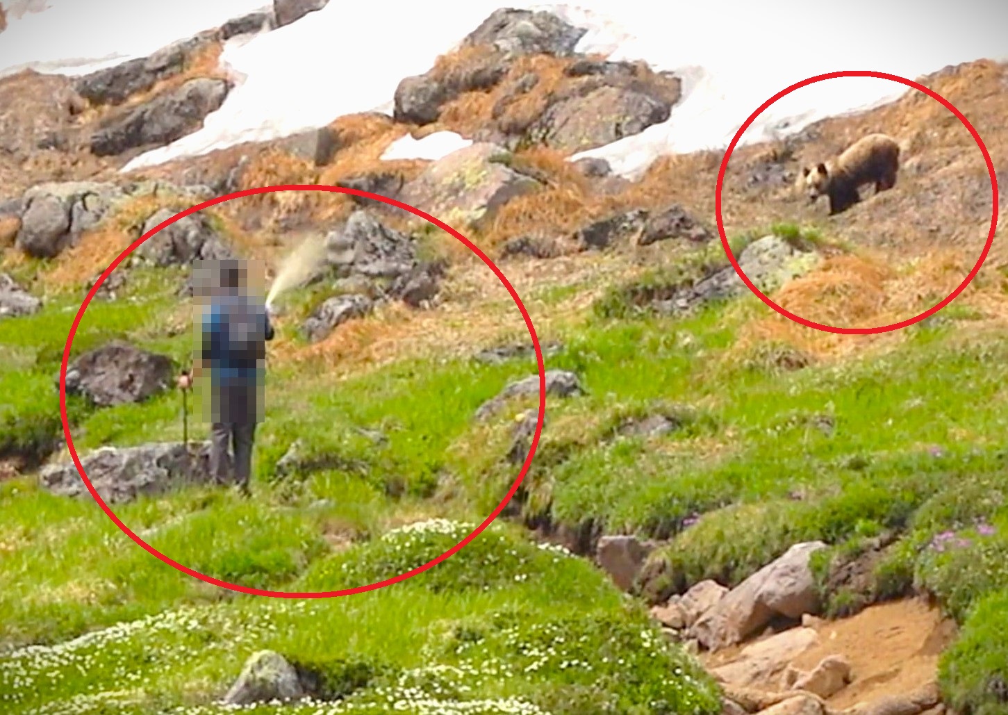 熊除けスプレーを噴射する登山者（撮影：視聴者）