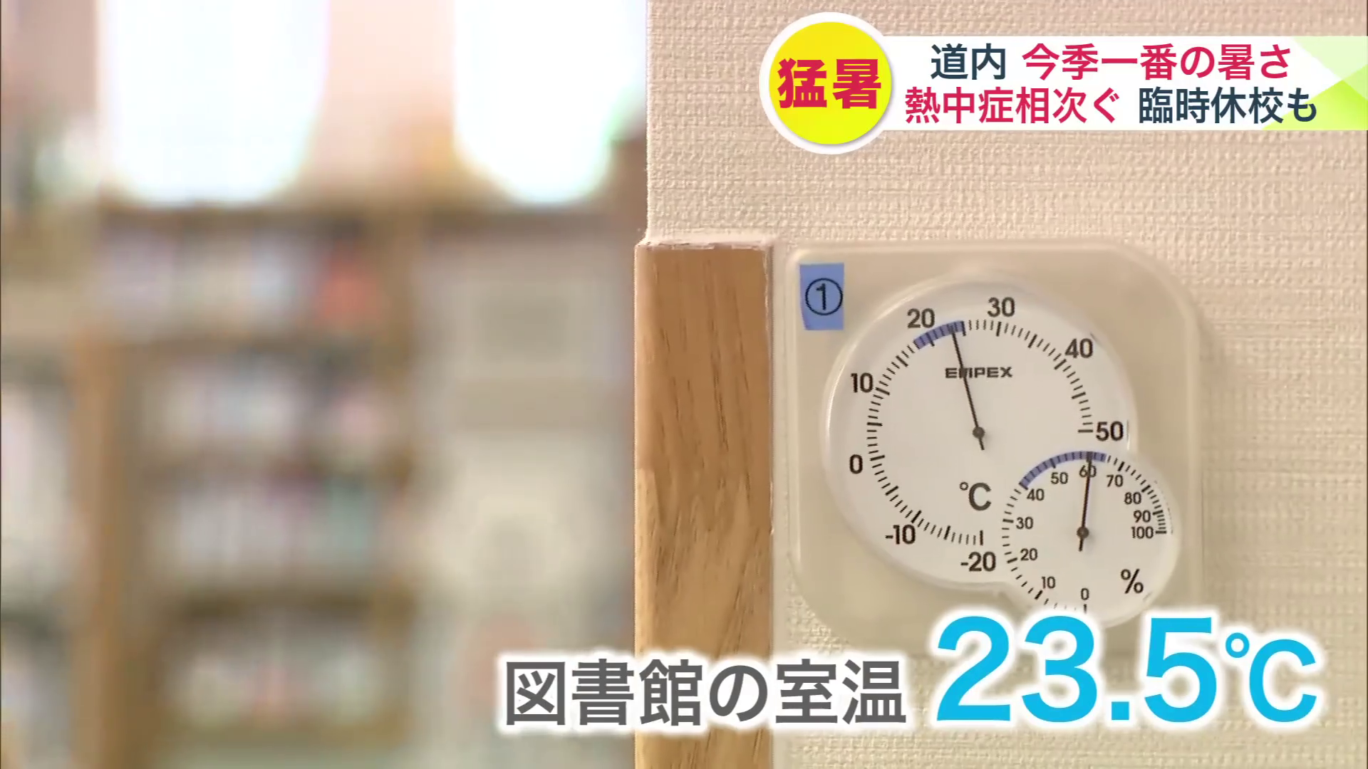 図書館内は涼しい環境が整っている