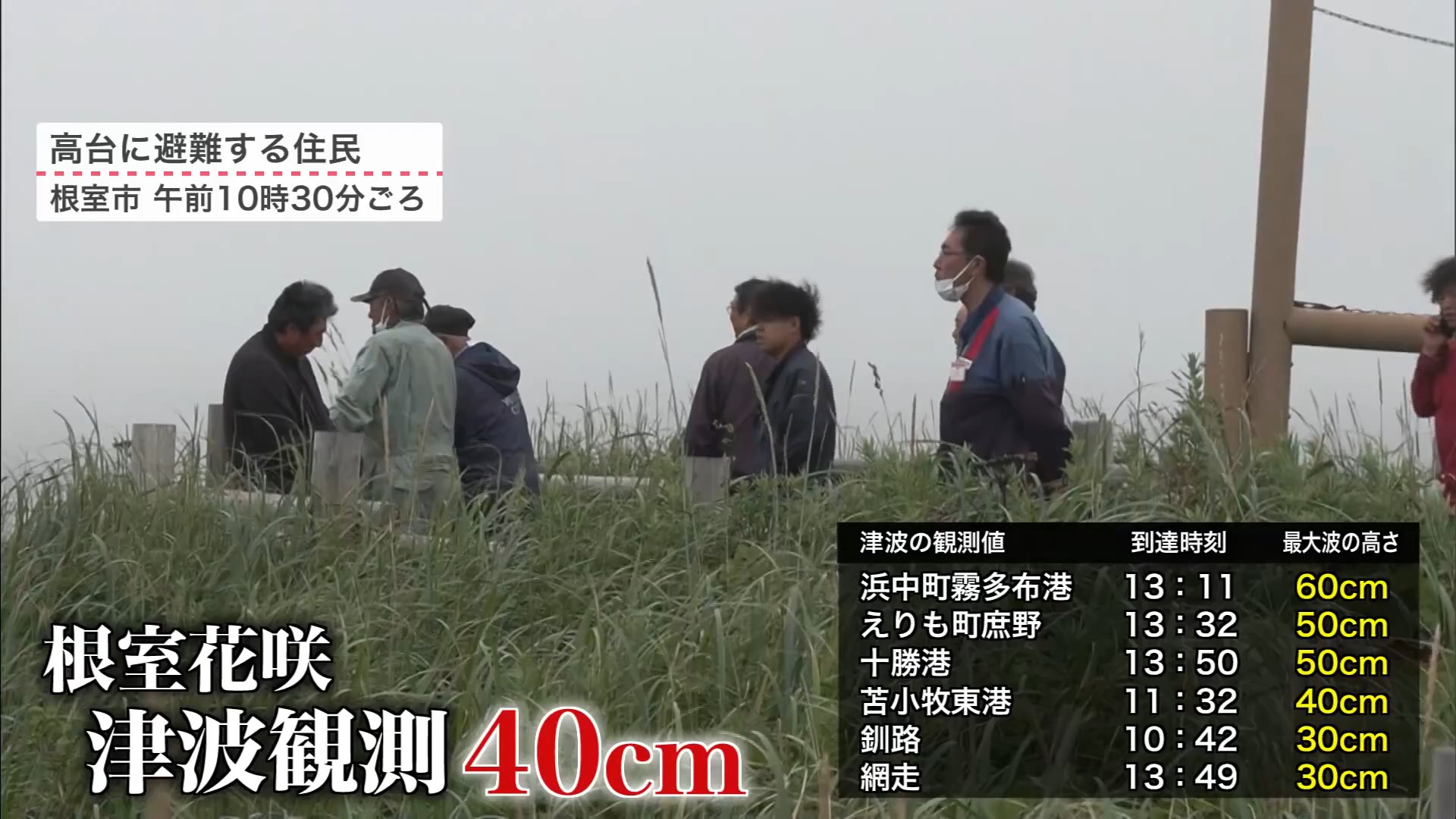 高台に避難する住民（根室市　午前10時30分ごろ）