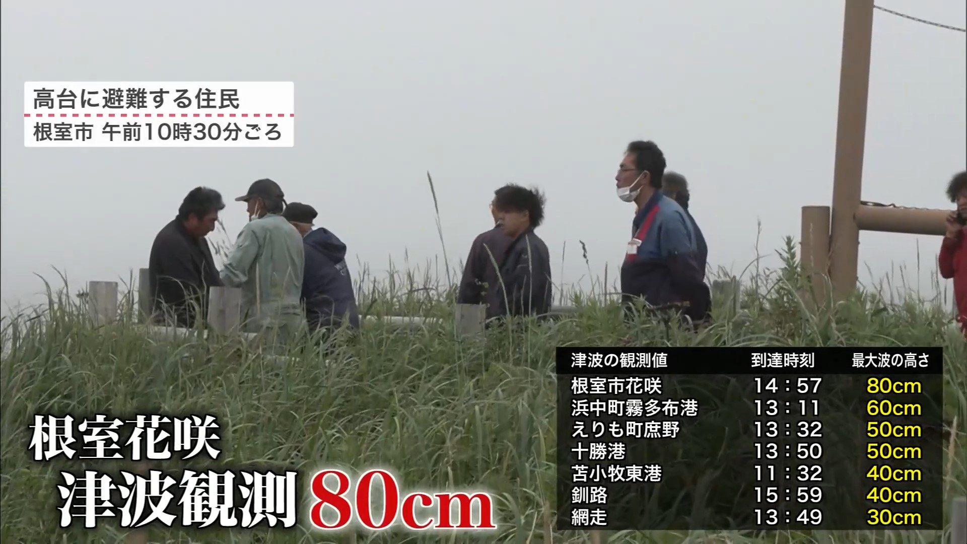 根室市花咲で80センチの津波を観測(午後2時57分)