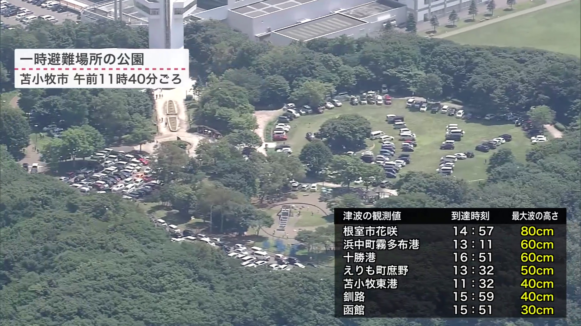 苫小牧市の公園に押し寄せた車