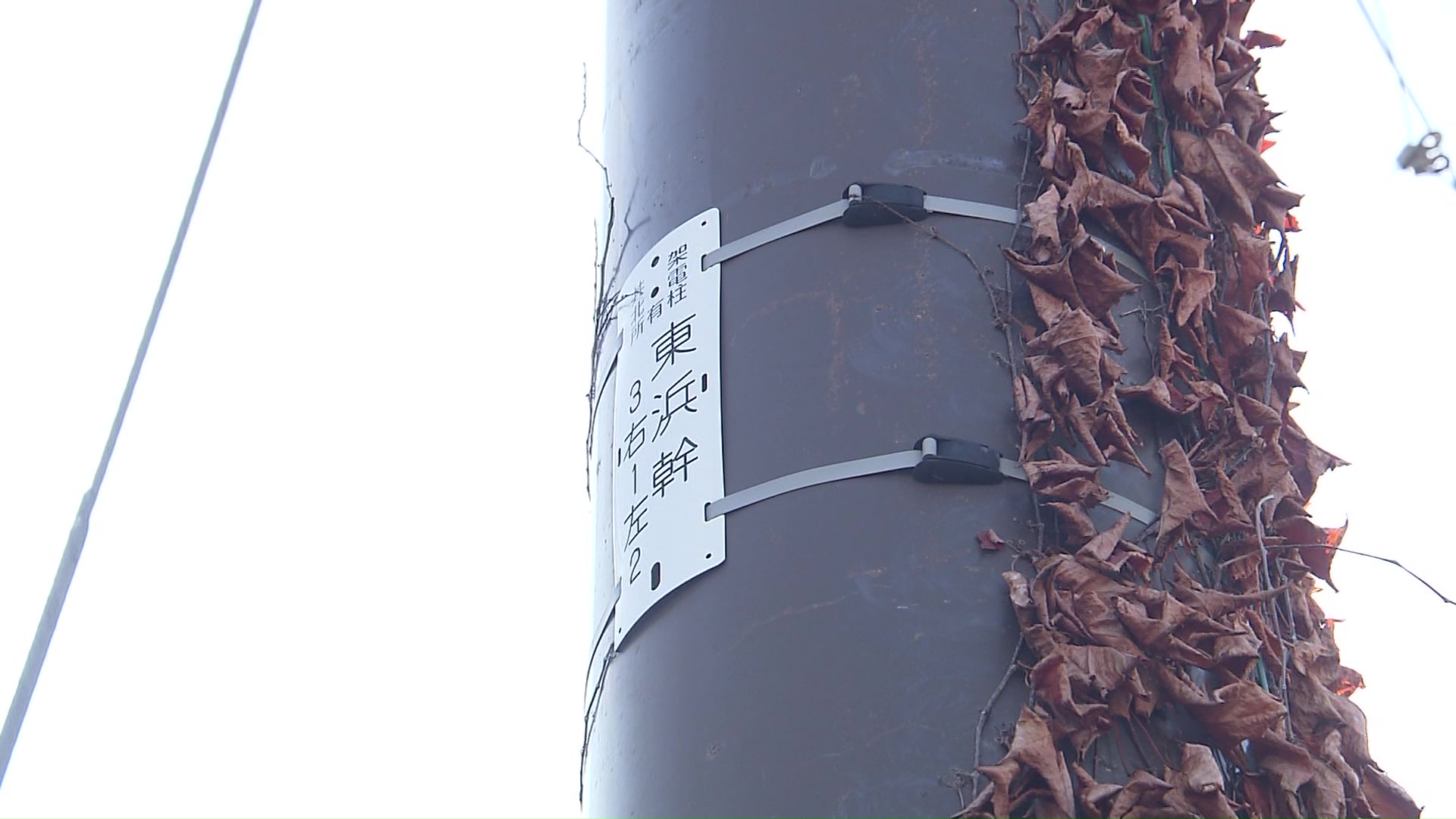 老朽化した電柱の保守・点検が追い付かなくなる？