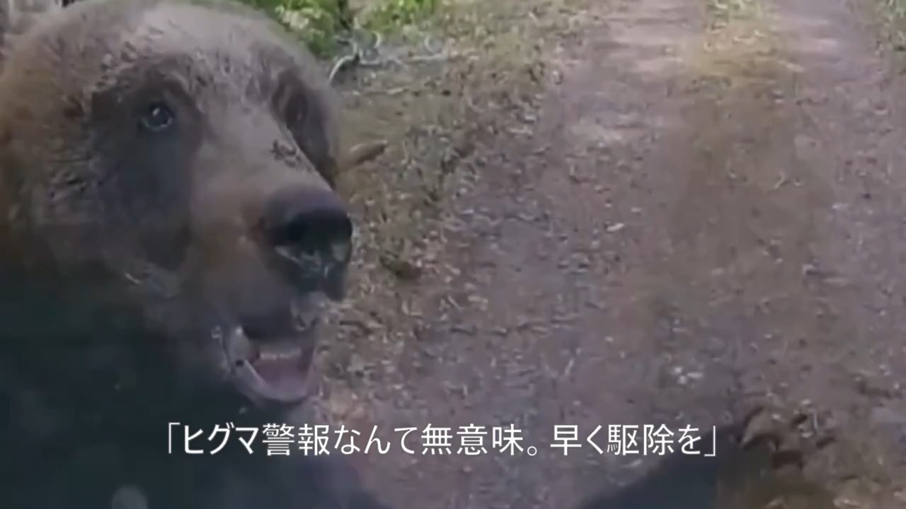 積極的な駆除を求める声も（画像提供：道警）