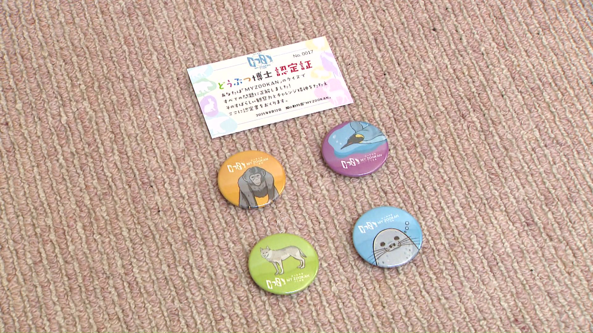 オリジナル缶バッヂやどうぶつ博士認定書をもらえる（※2025年8月13日まで）