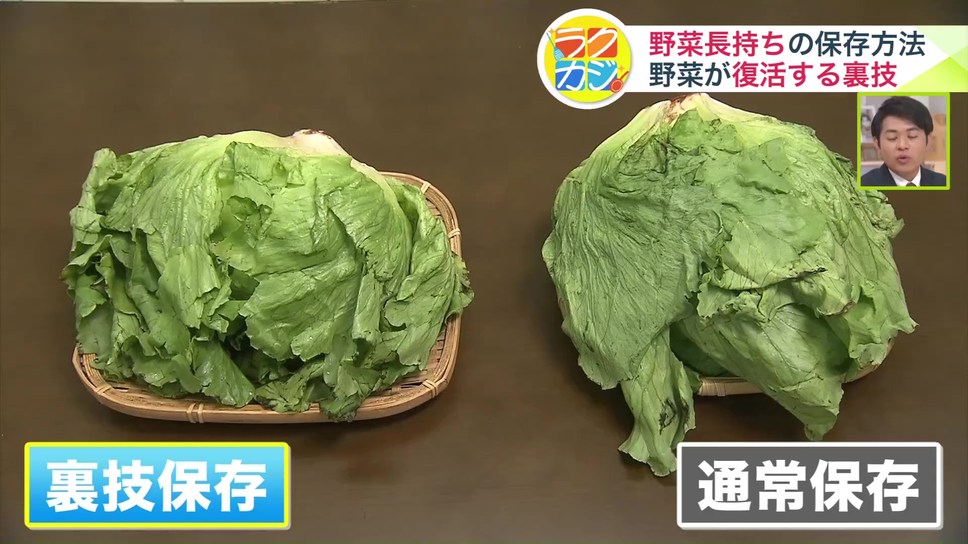 比べてみると一目瞭然！