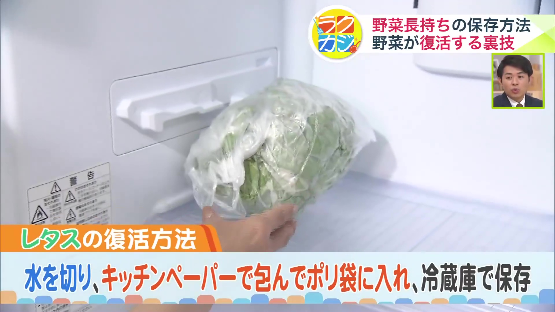 ハリのあるレタスが復活！