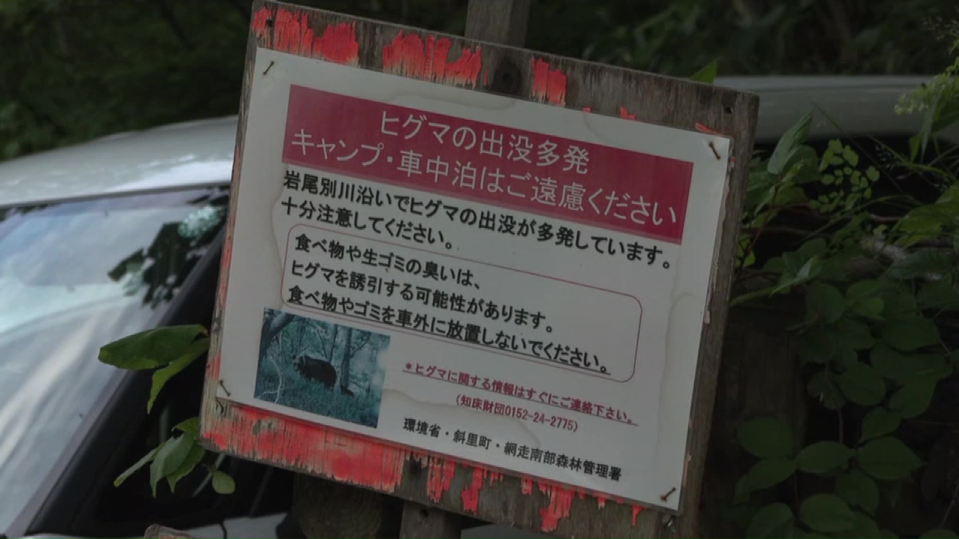 登山道周辺にはヒグマ注意報が発表