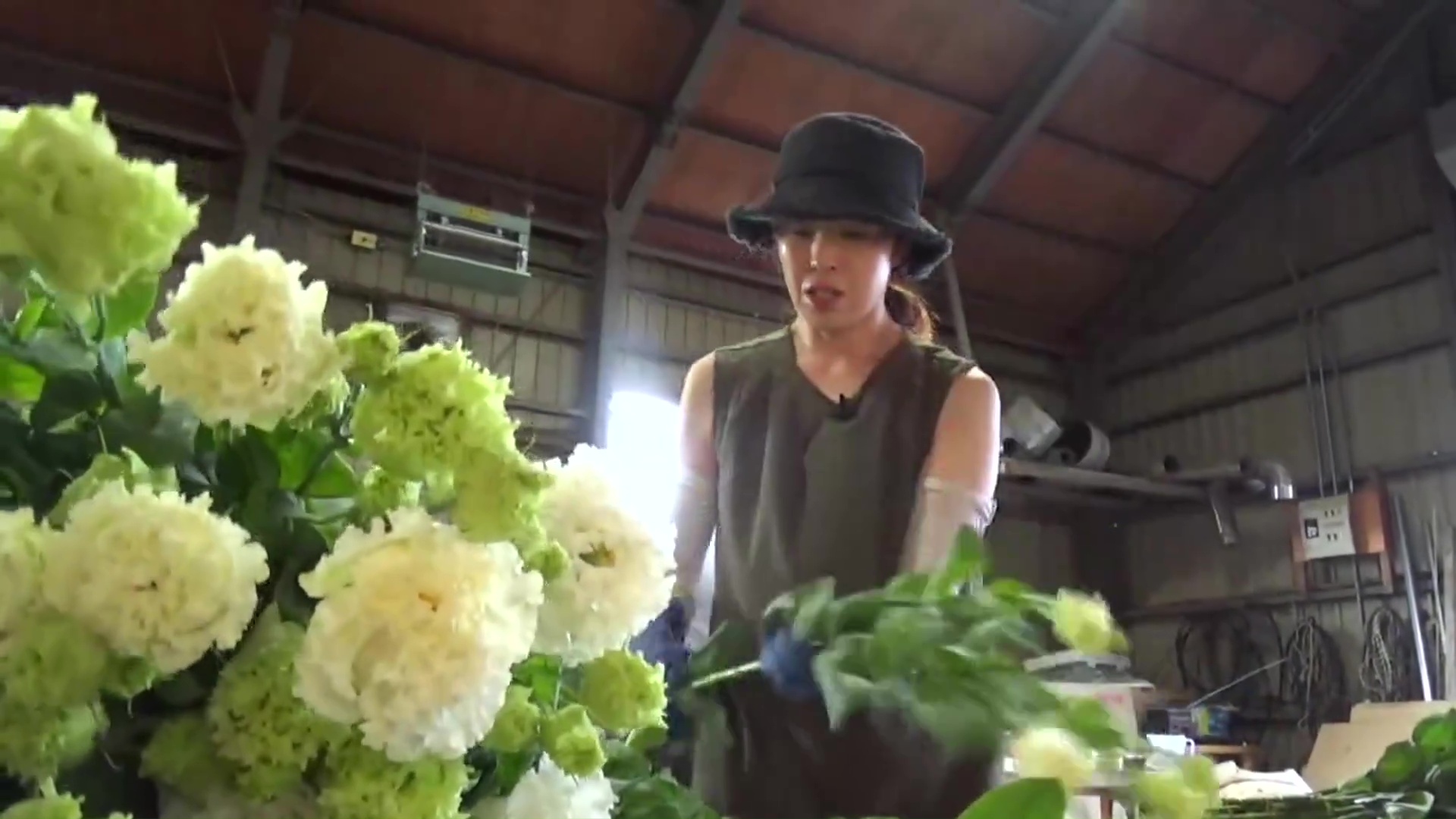 年間10品種・15万本ほどを栽培