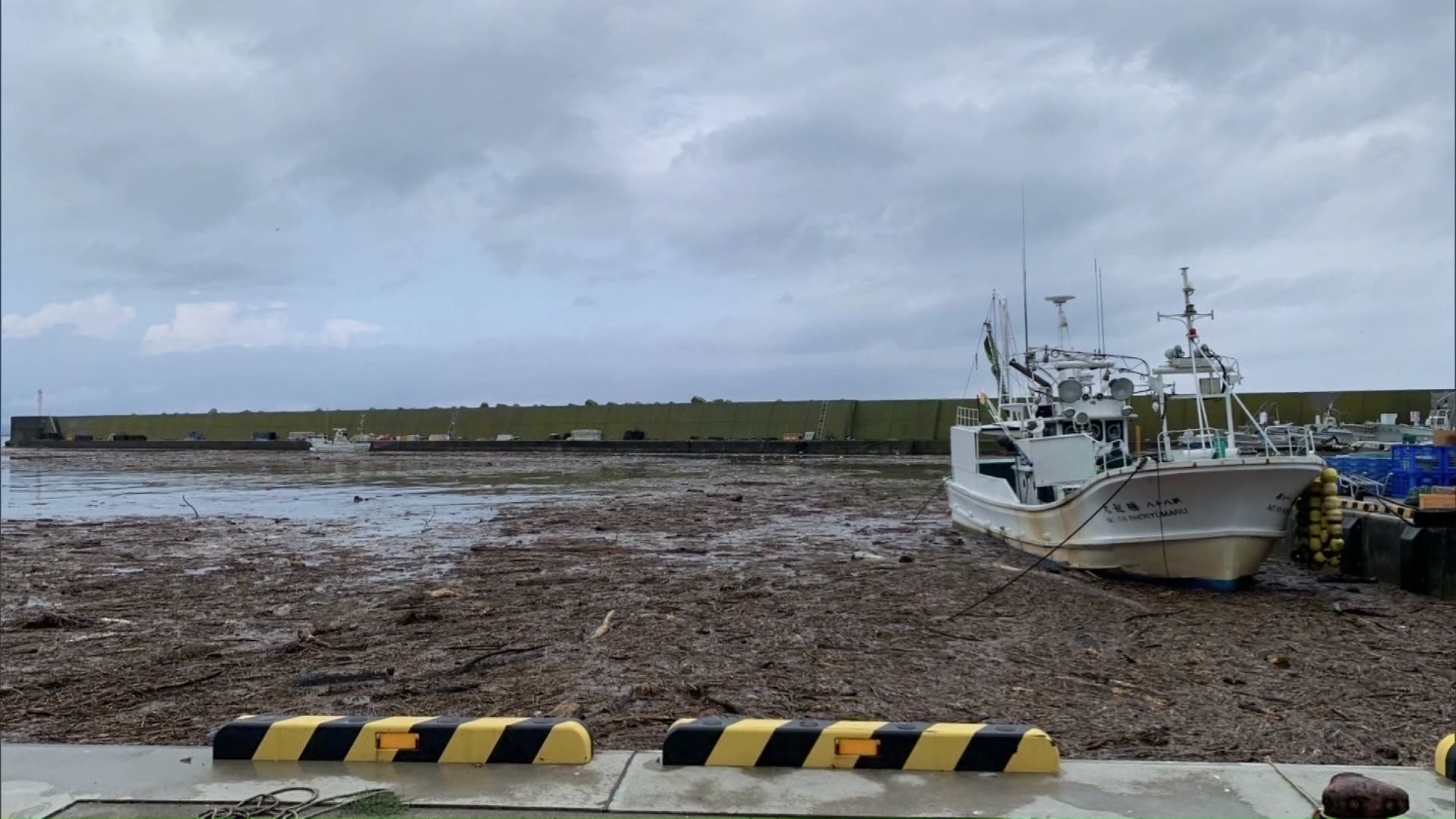 流木で埋め尽くされた八雲町の落部漁港(提供:落部漁協)