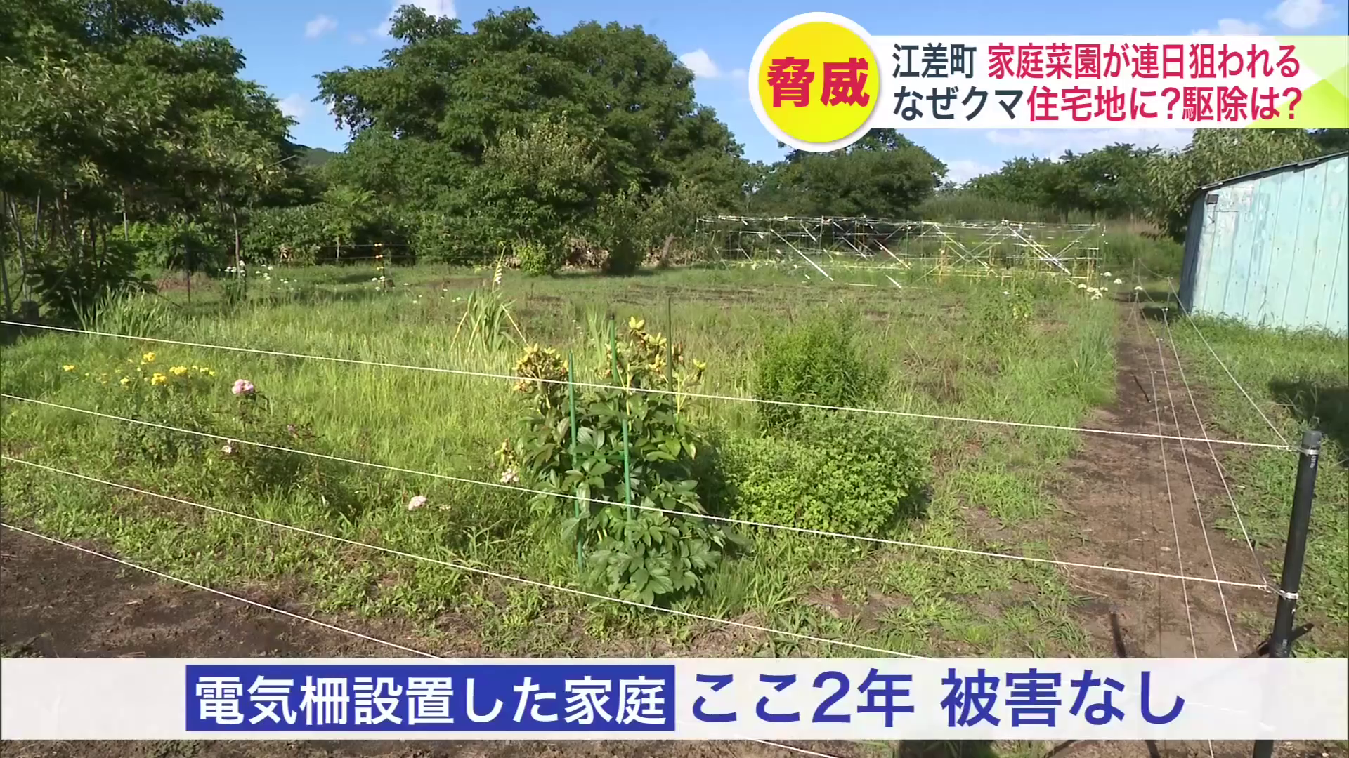 電気柵を設置した家庭ではここ2年被害なし