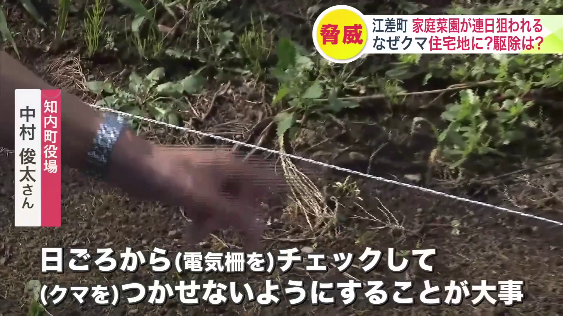 「日ごろからチェックしてクマをつかせないようにすることが大事」