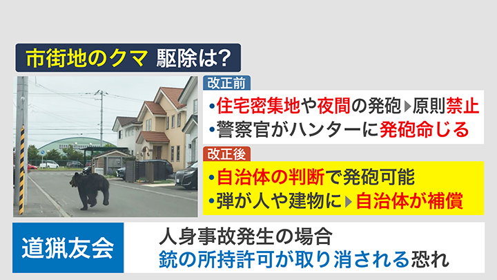 市街地のクマ 駆除は？