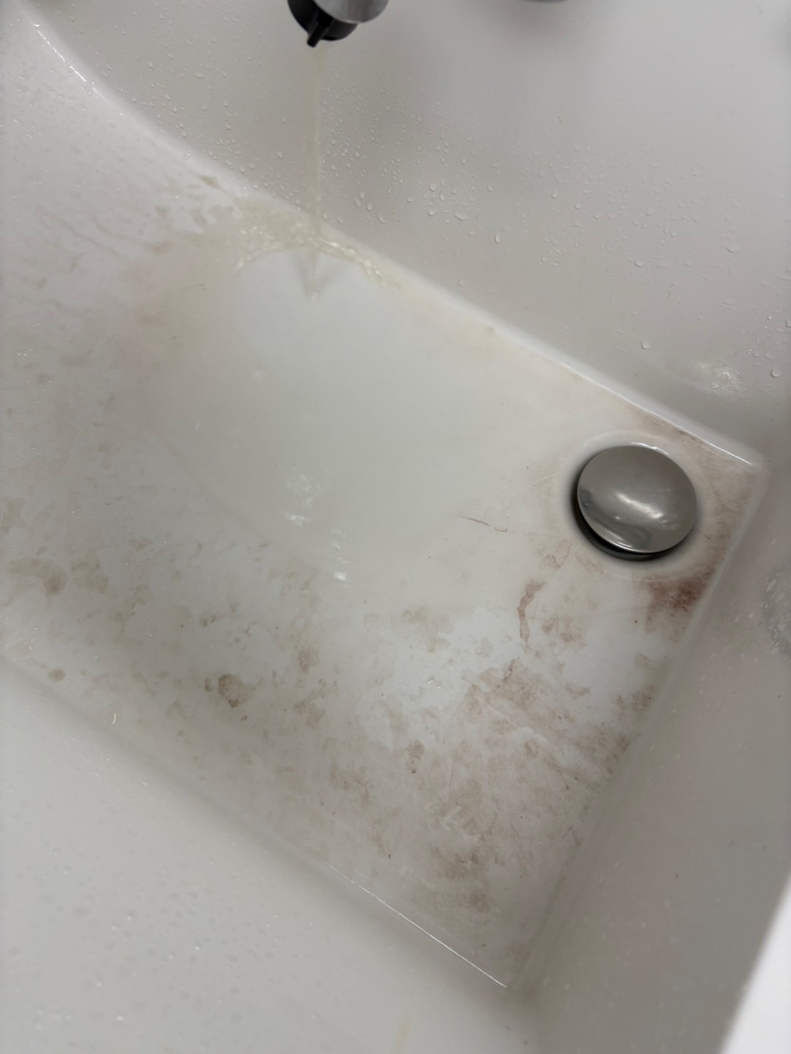 サビが出た様子　視聴者撮影（24日）