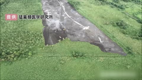 工事の様子（提供：猛禽類医学研究所）