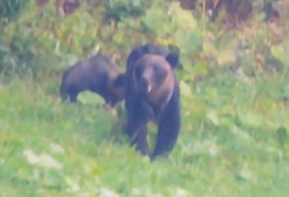 撮影：視聴者（8月26日午後4時ごろ）