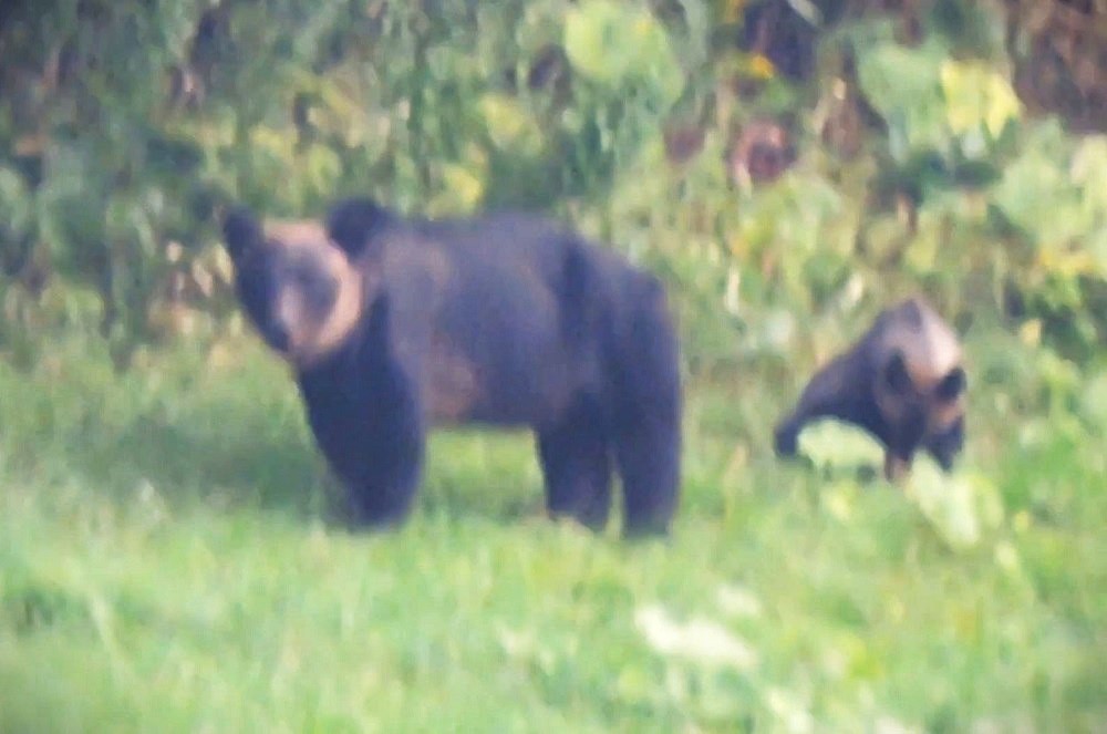 撮影：視聴者（8月26日午後4時ごろ）