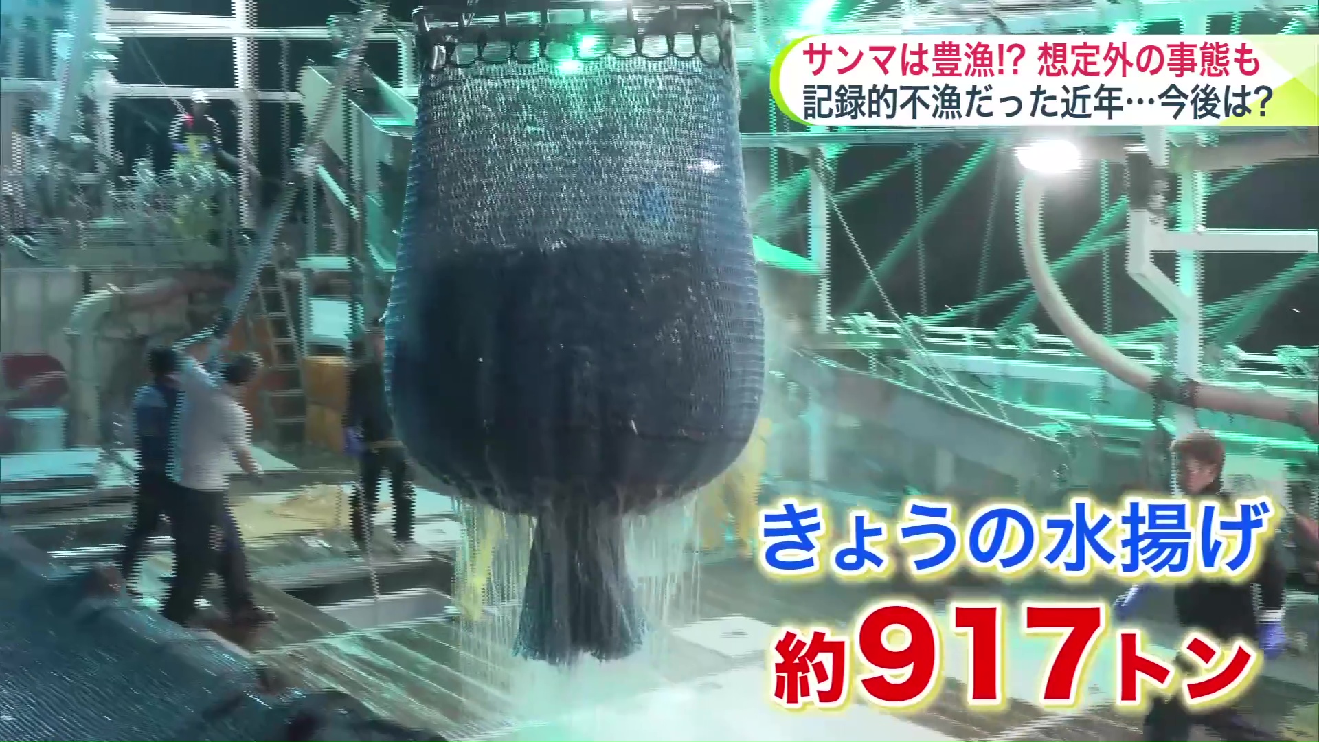 根室市花咲港でサンマの水揚げ