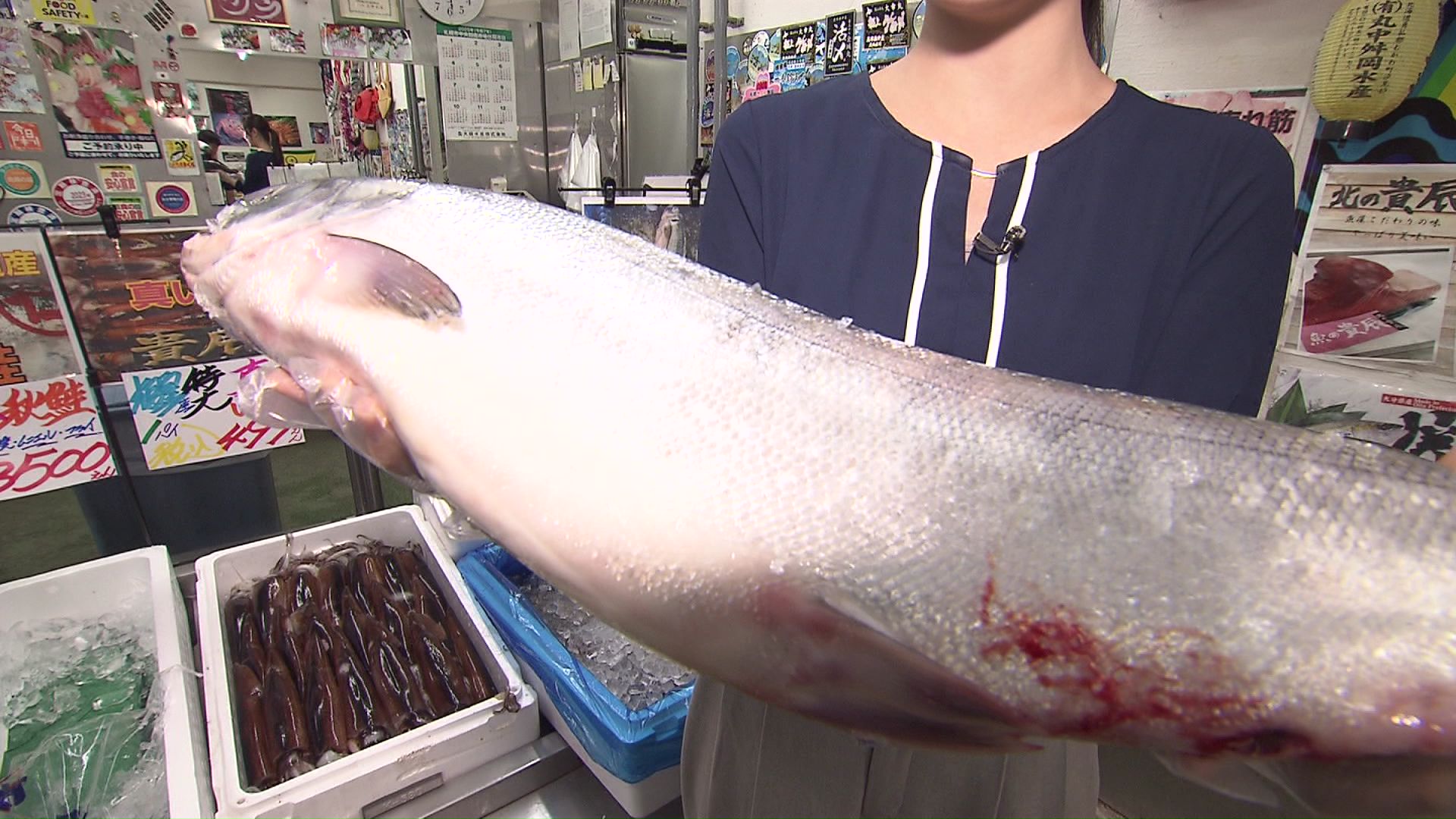 北海道各地で水揚げが始まった秋サケ