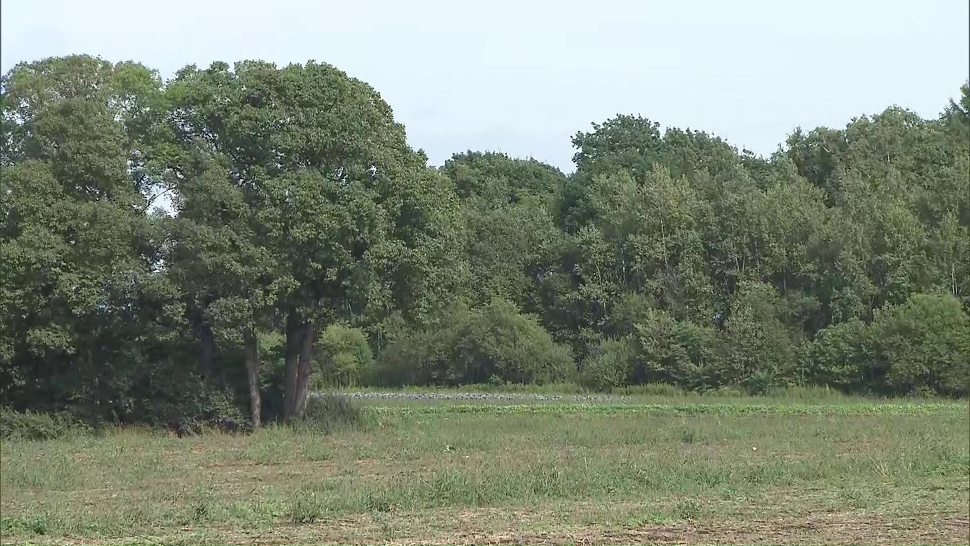 恵庭市の2軍球場候補地・西島松地区