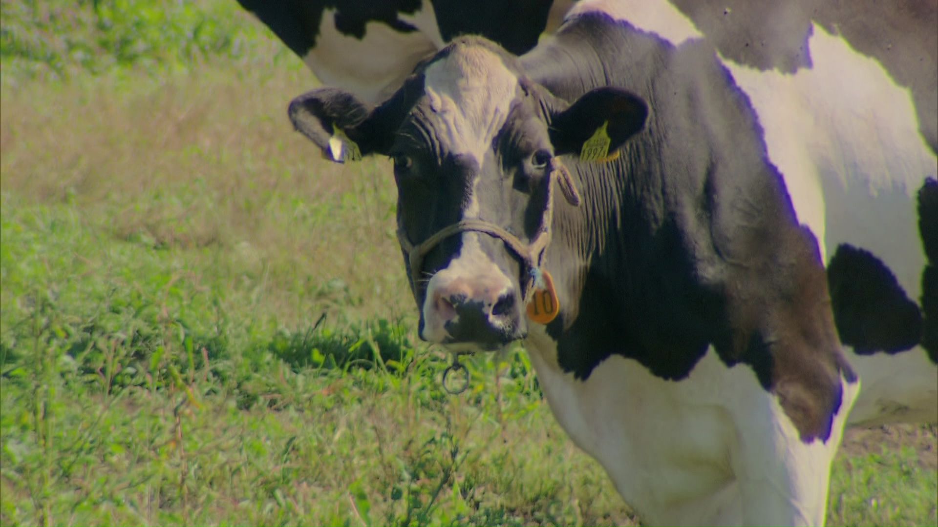 別海町では多額の寄付を集める