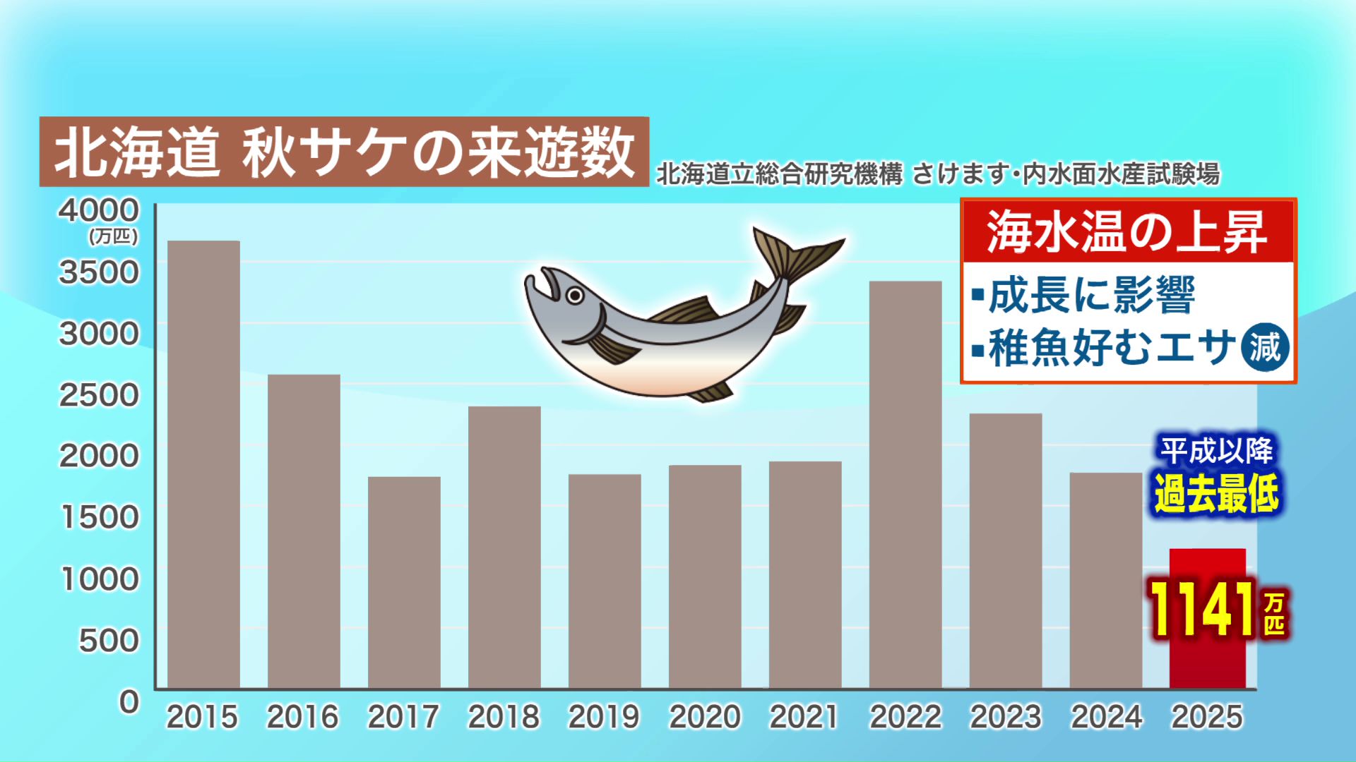北海道 秋サケの来遊数