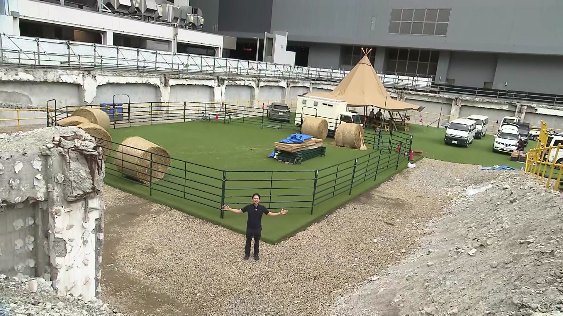 ビルの間に誕生した“牧場”