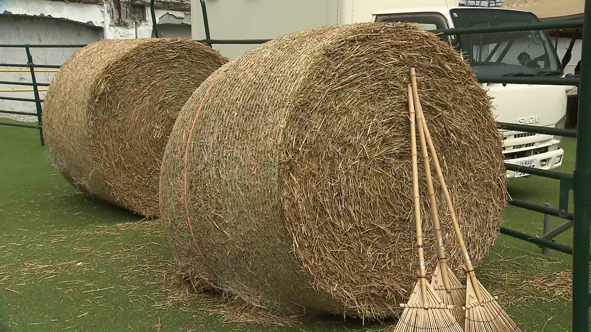 札幌の中心に牧草ロールが！
