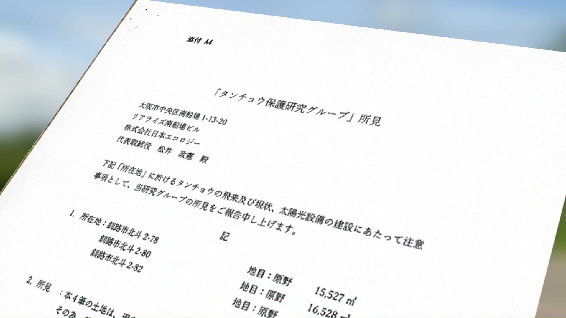タンチョウについての調査