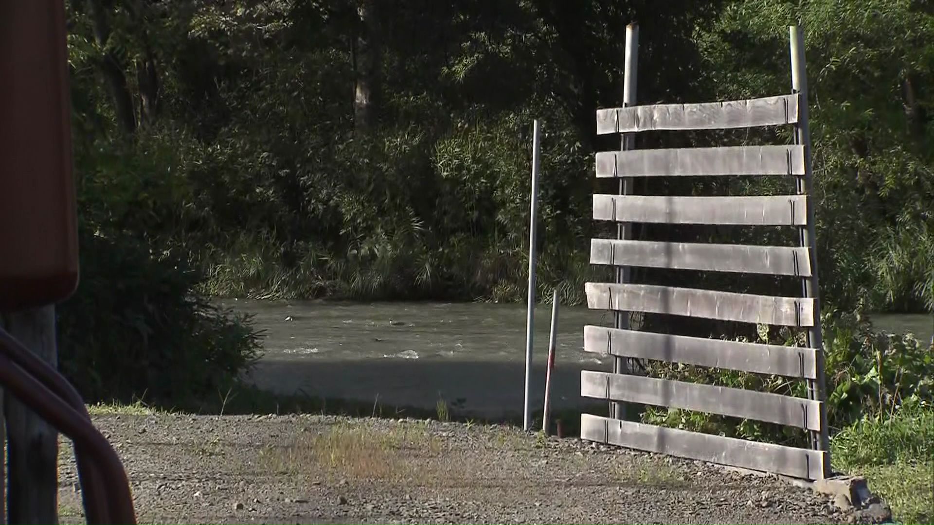 山の方に逃げたクマ