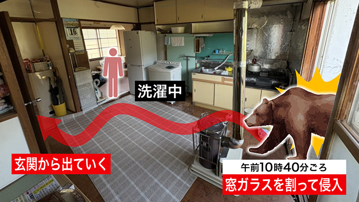 住宅に侵入してきたクマの動き