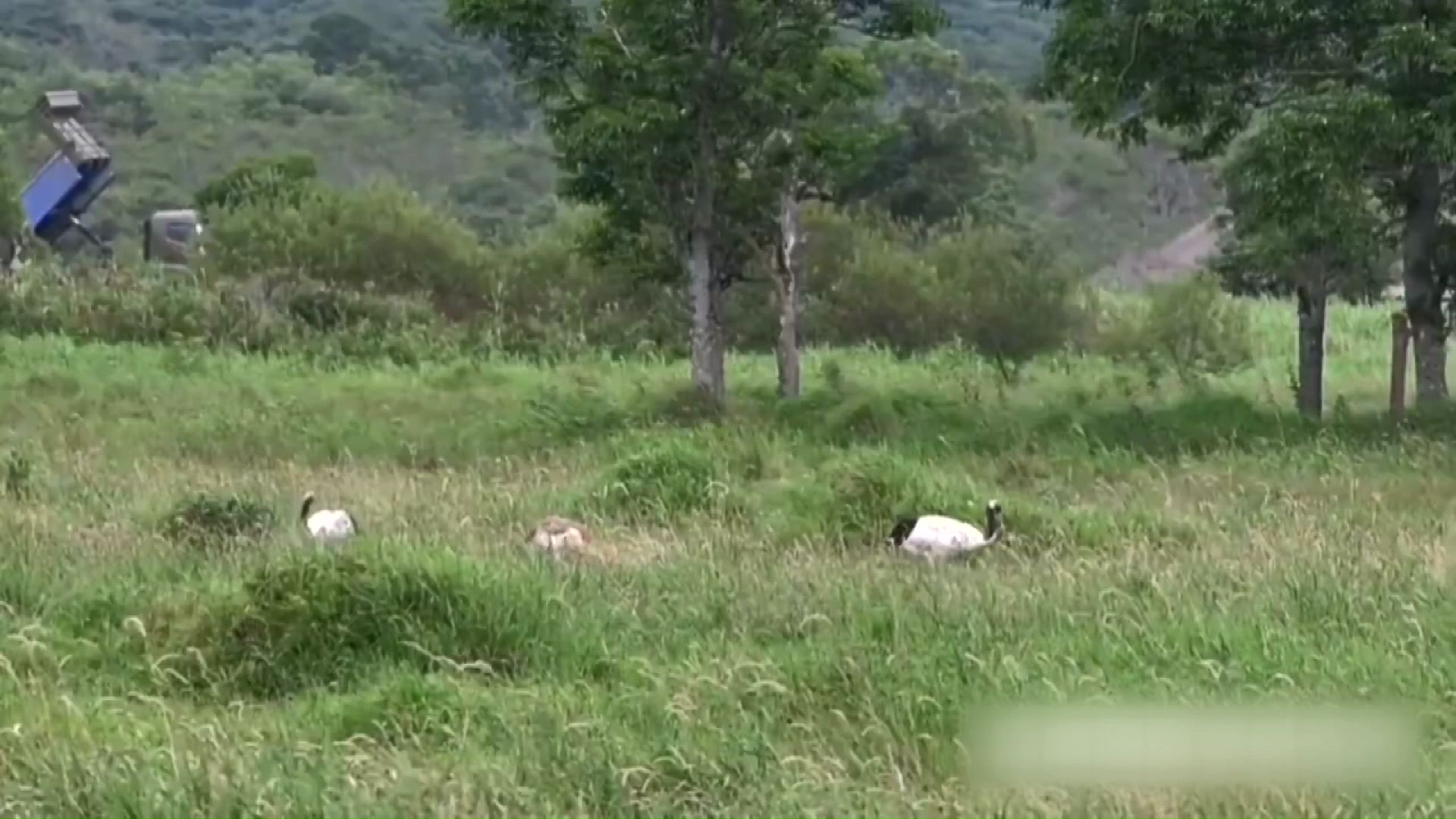 釧路湿原の周辺ではソーラーパネルの設置が進められている