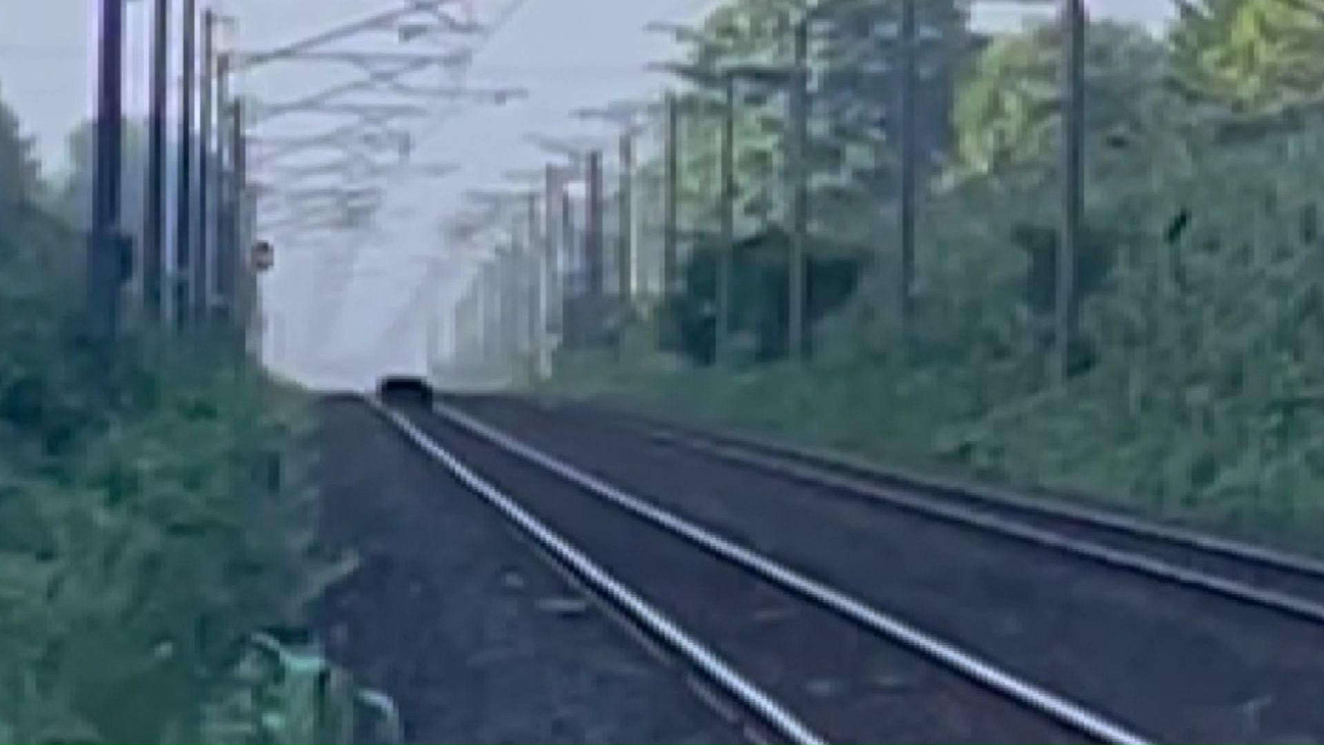 ＪＲの線路上を歩くクマ（提供：北海道猟友会砂川市部）