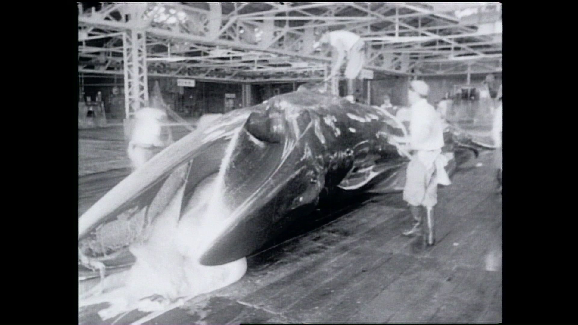 1950年代当時のクジラ肉加工場