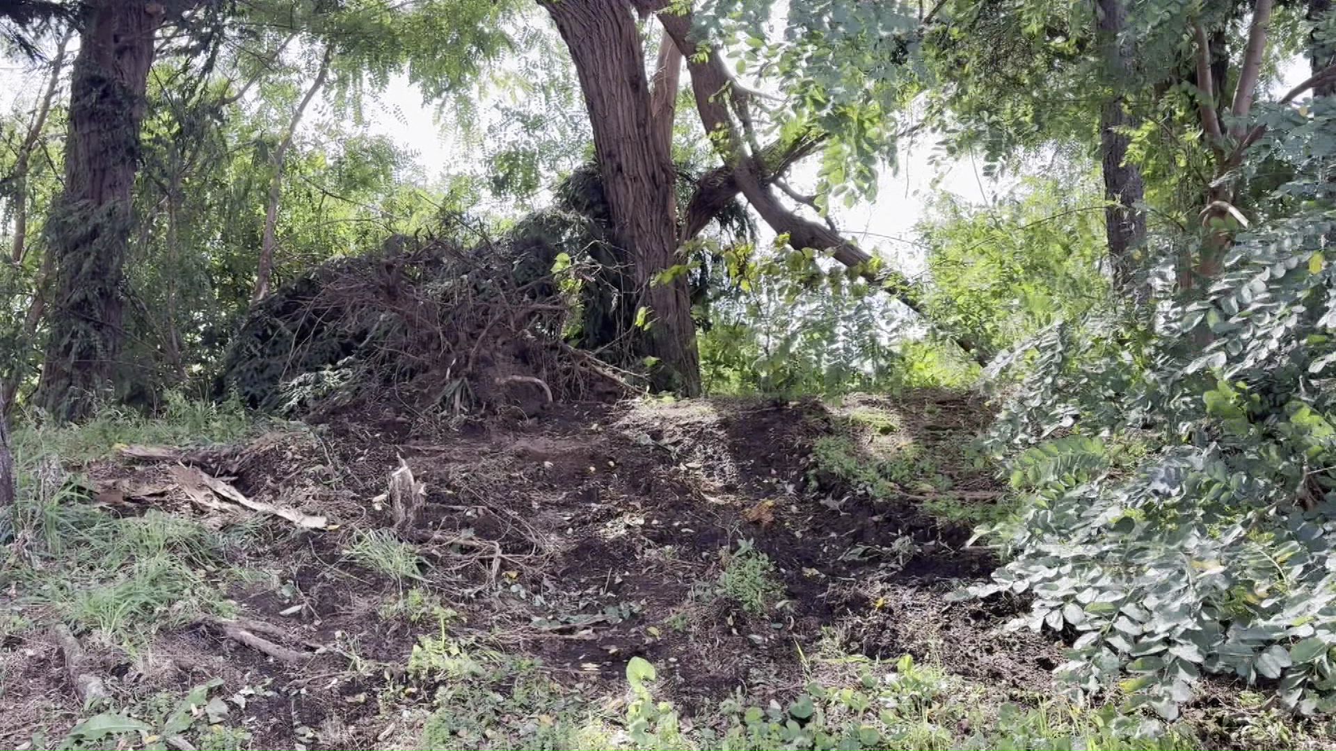 中学校の校庭には車で荒らされたとみられる痕跡が