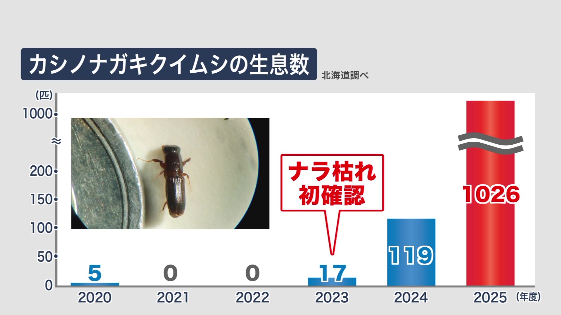 カシノナガキクイムシ生息数の推移