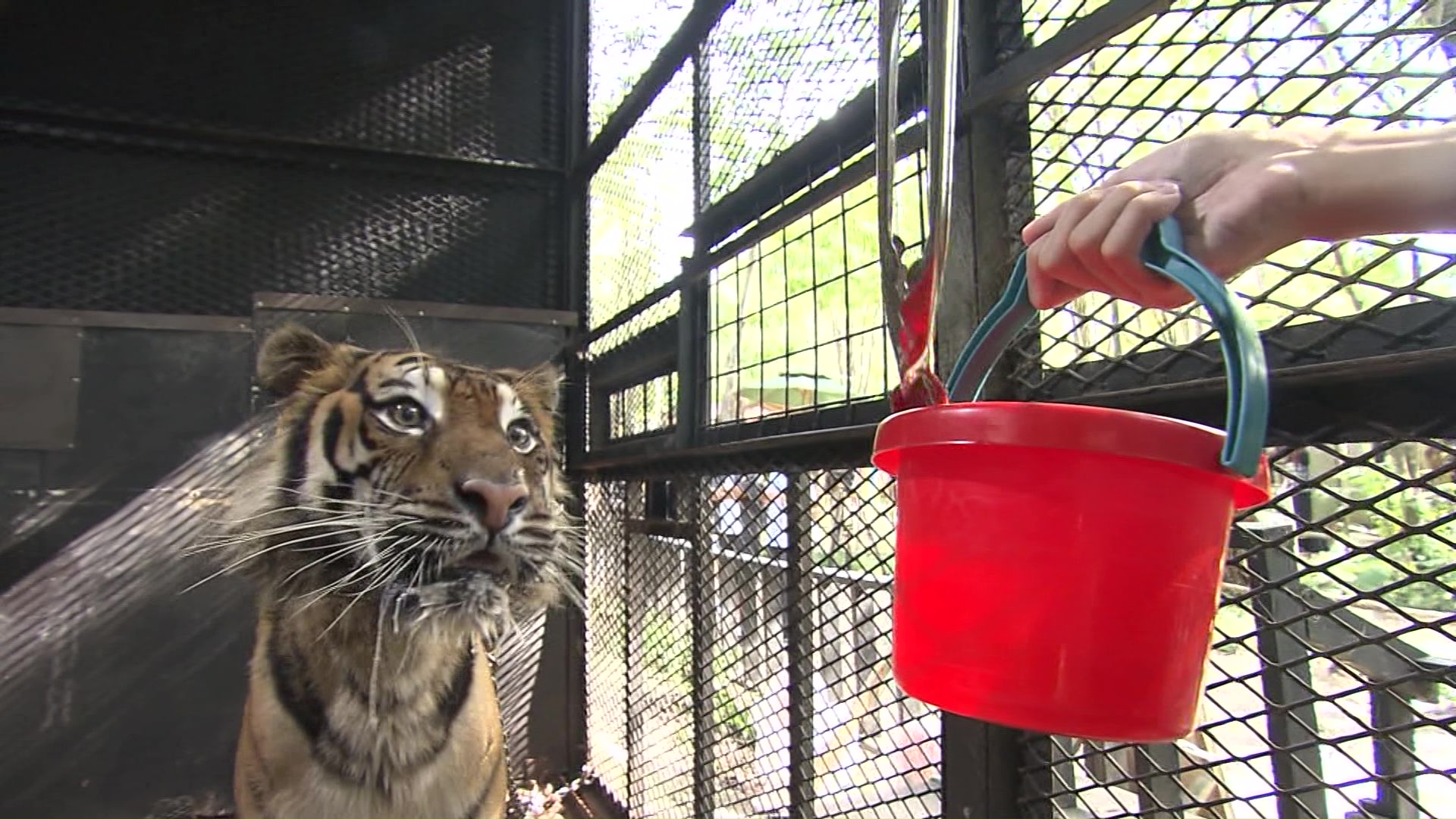 ノースサファリサッポロの様子(資料)