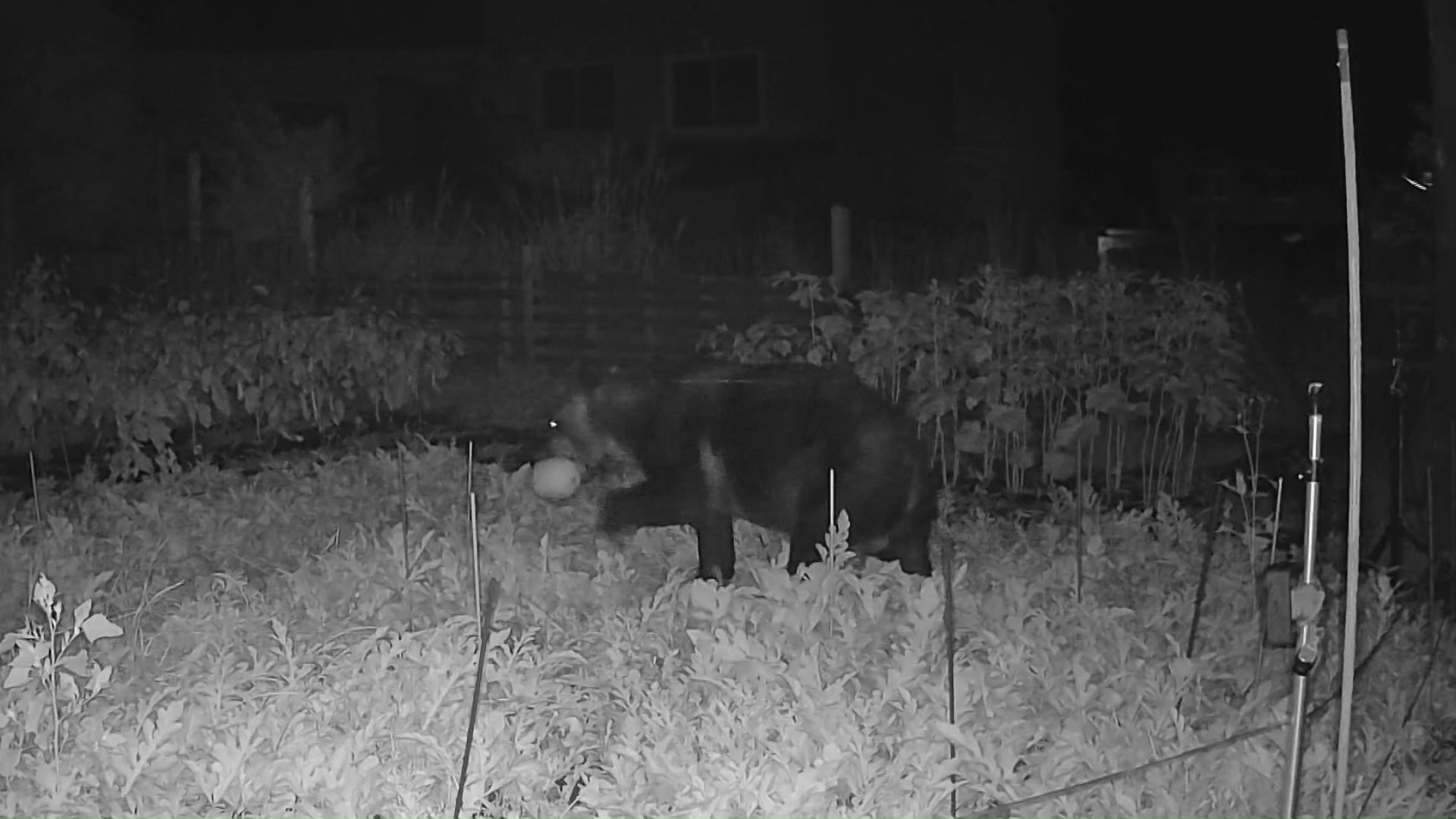 いざという時に迅速に対応できるのか(資料写真)