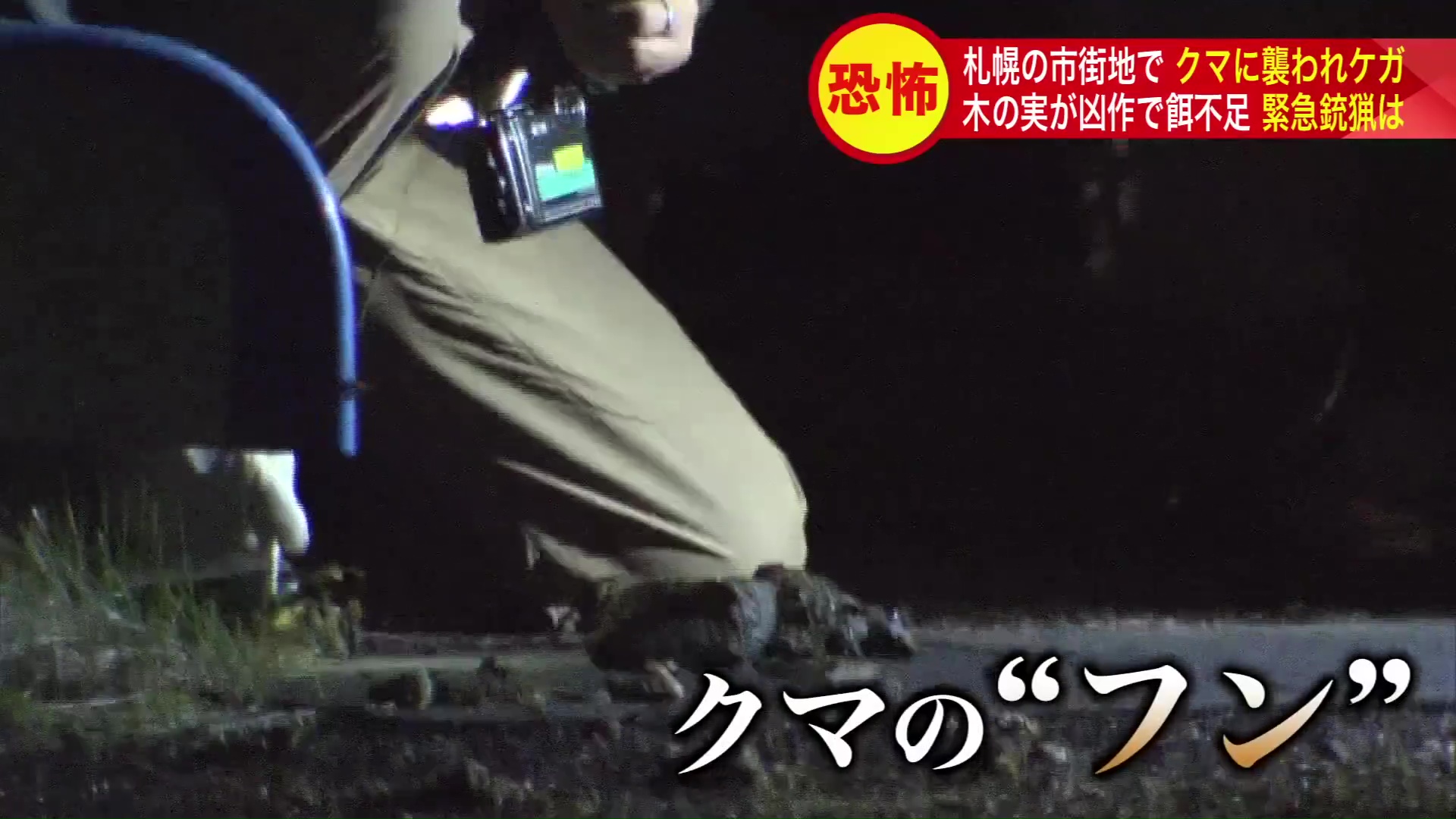 現場に残されたクマのフン