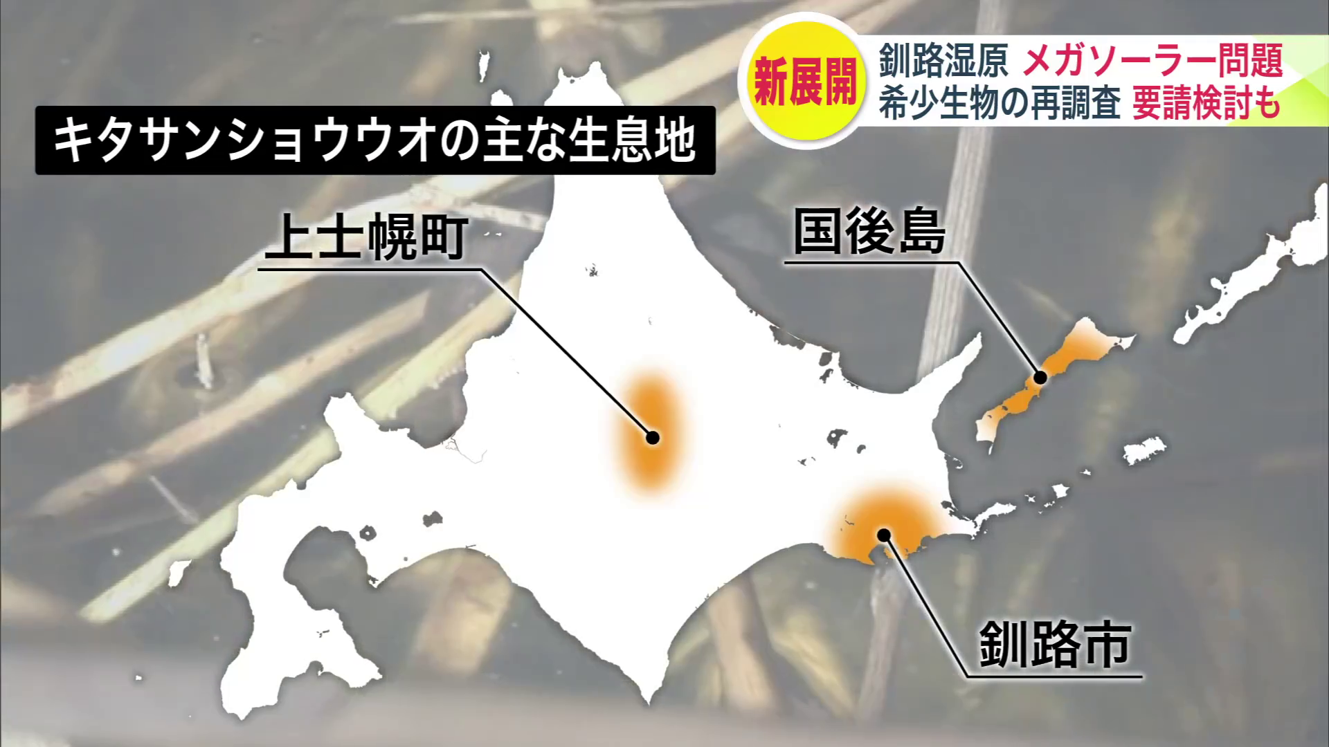 キタサンショウウオの主な生息地