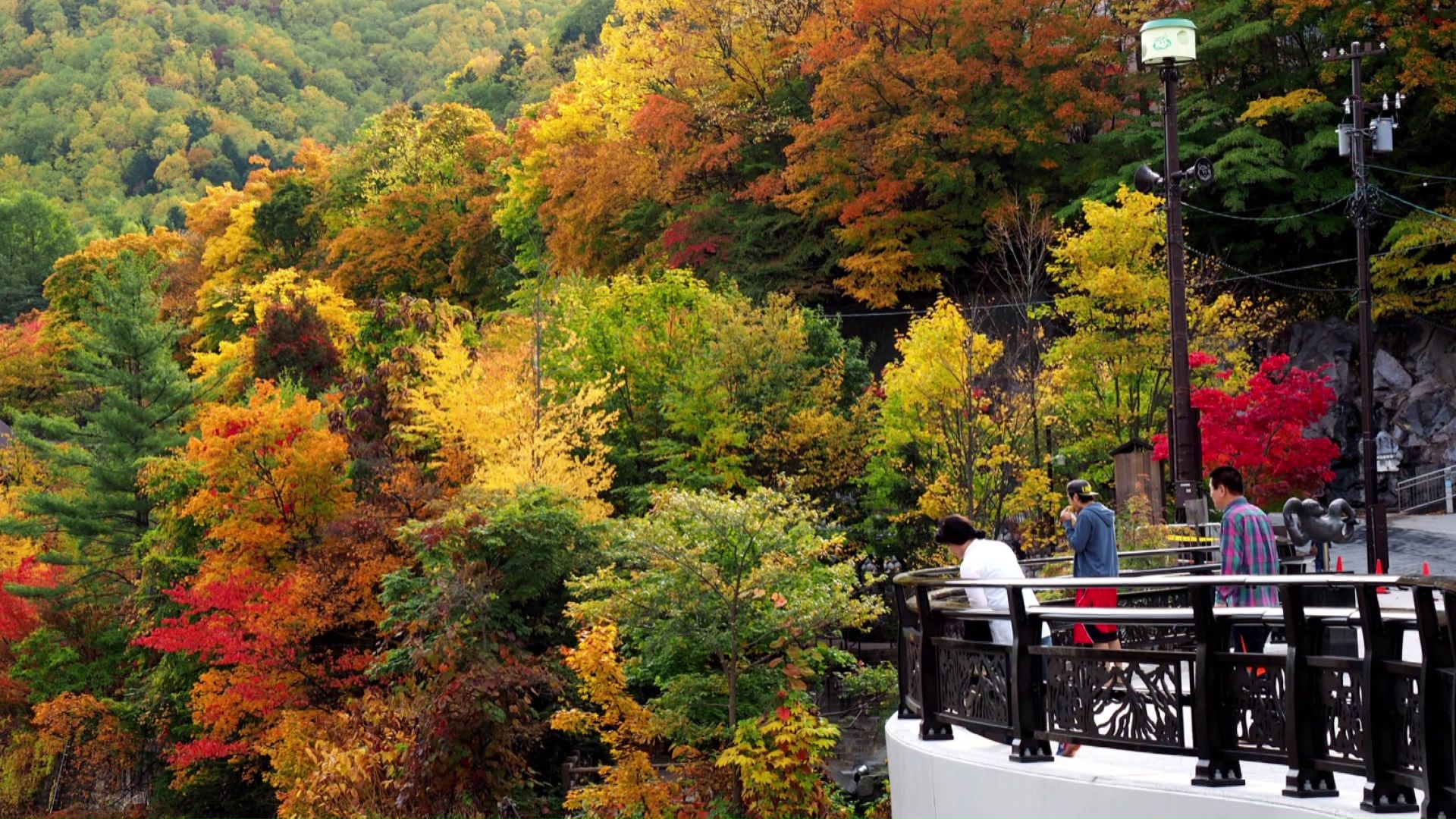 今年の紅葉はどんな表情をみせてくれるでしょうか(提供:定山渓観光協会)