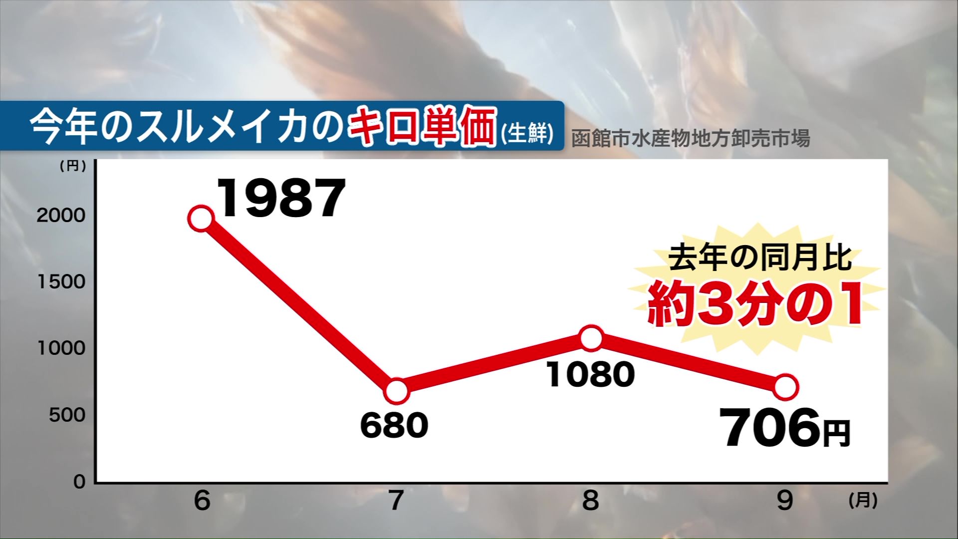 2025年のスルメイカのキロ単価
