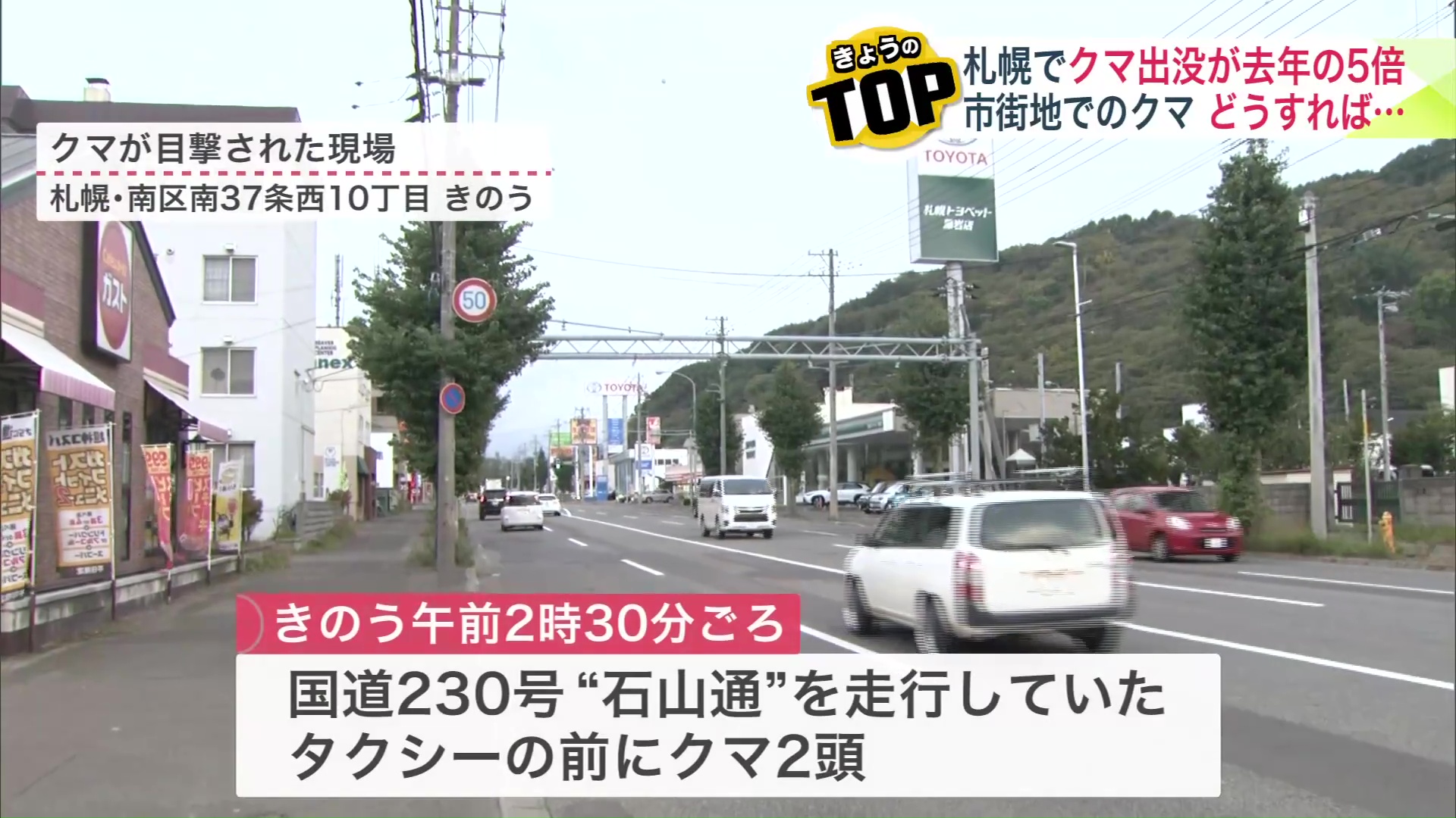 クマが目撃された石山通