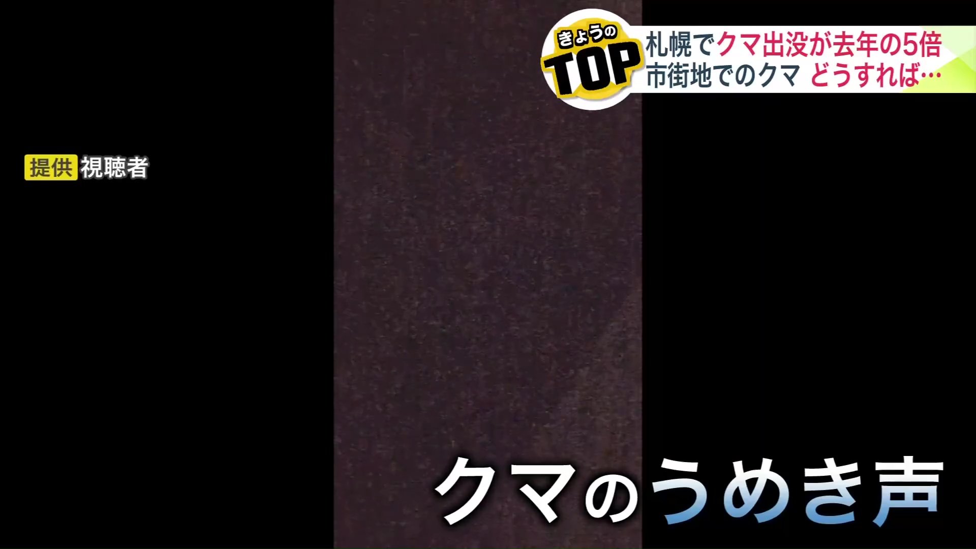 「獣の声がする」と通報が（提供：視聴者）