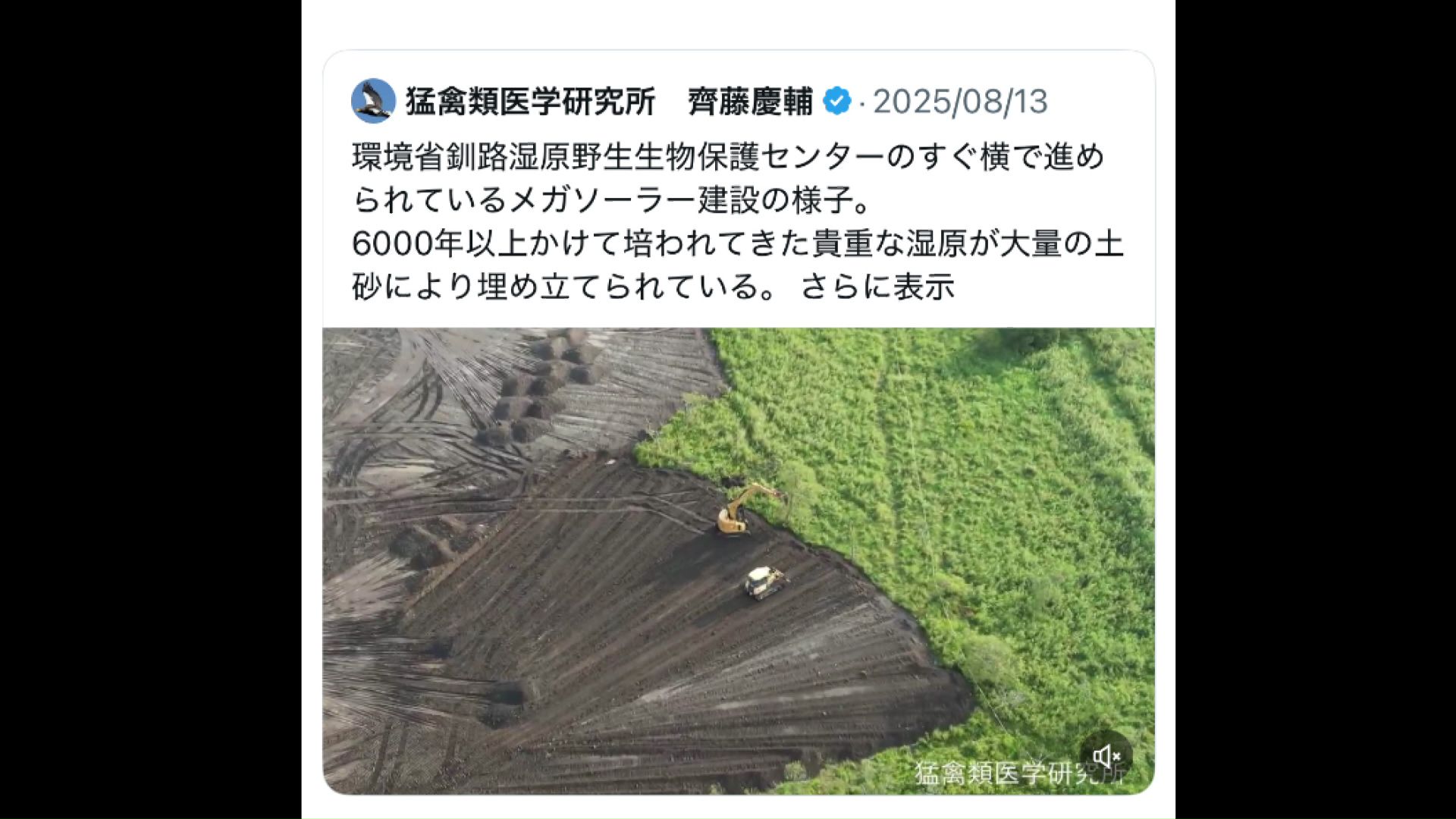 きっかけは猛禽類医学研究所、齊藤慶輔代表によるSNSの投稿