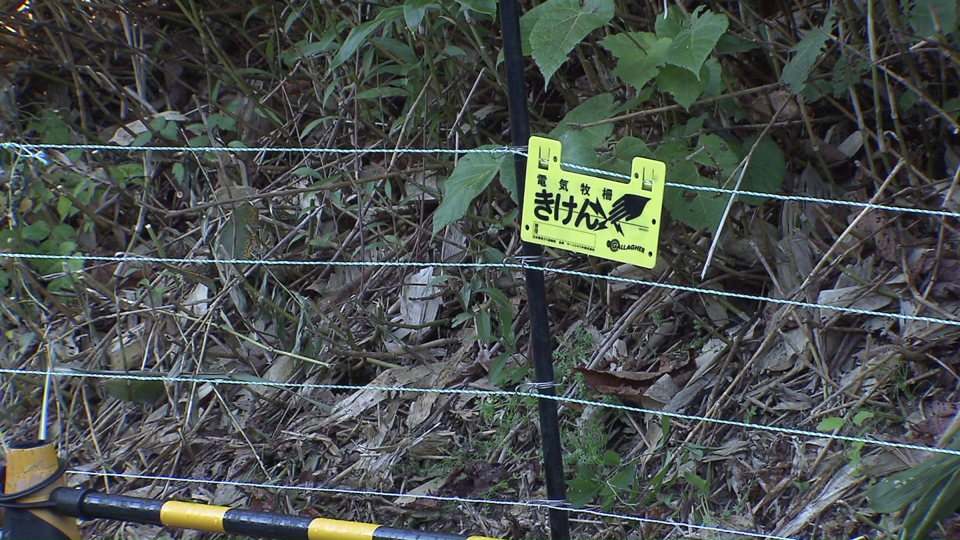 クマ対策で設置された電気柵