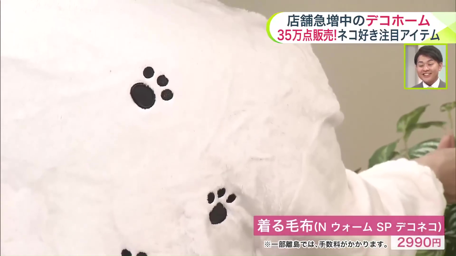 ニューアイテムだニャン