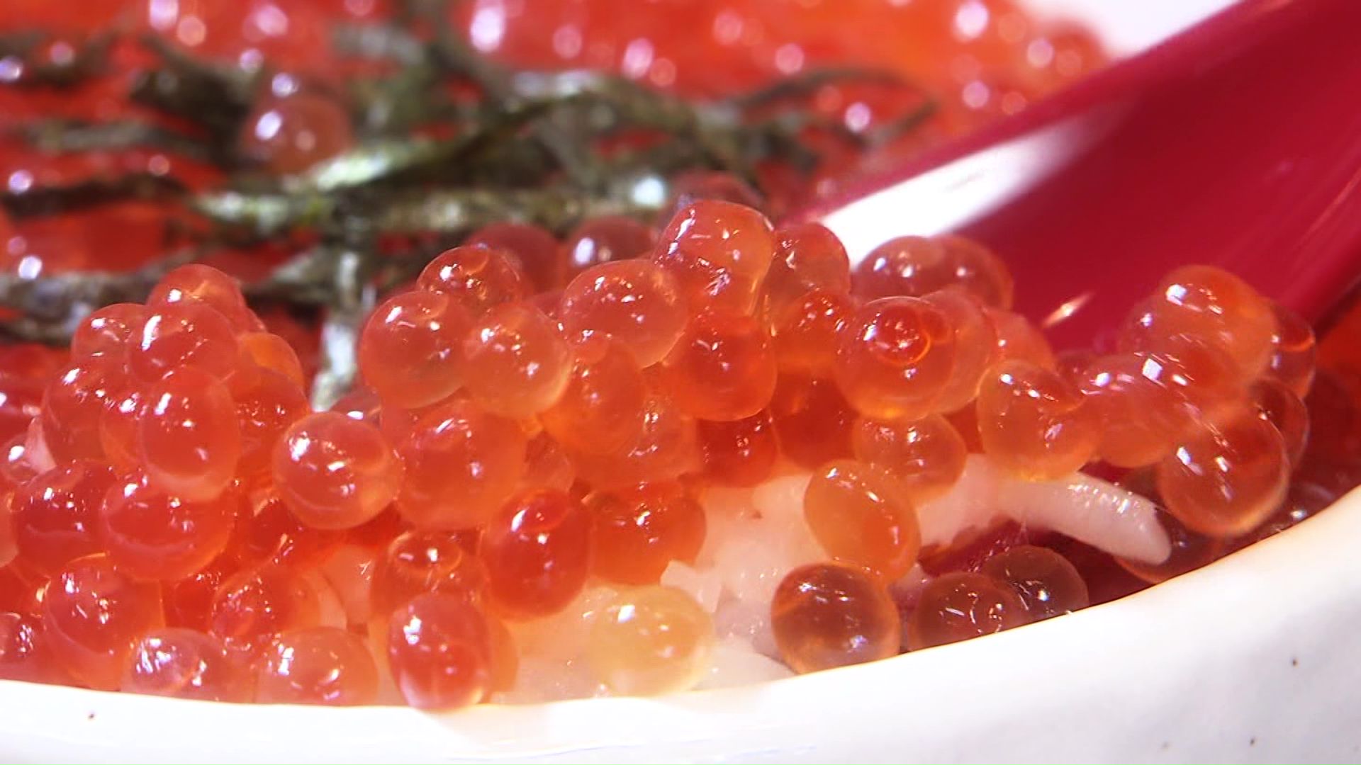 今が旬の北海道の秋の味覚「イクラ」